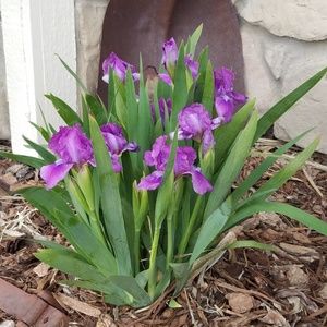 Meet your Posher, Krista